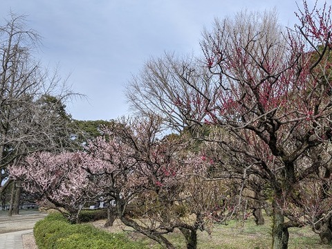 梅林寺20210227No35