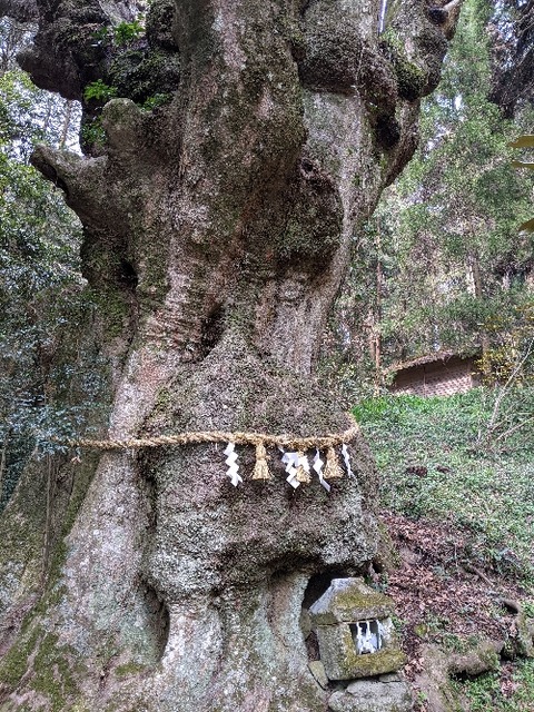 籾山神社20210314No5