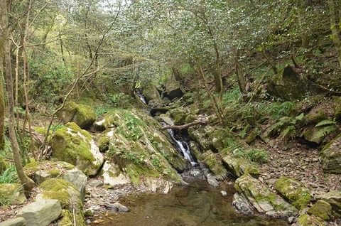 井原山20190414好き風景2