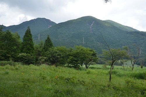 猪の瀬戸湿原 オオキツネノカミソリ 勝手に花言葉 徒然なるままに 猪の瀬戸湿原 オオキツネノカミソリ 勝手に花言葉 徒然なるままに