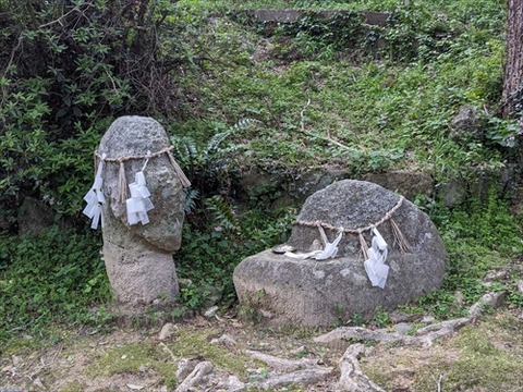 綾部神社20240410No59_R