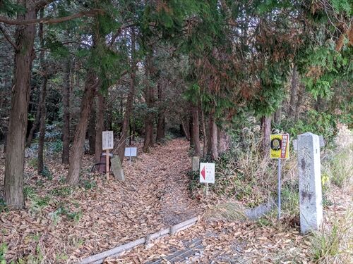 リハビリ兼ねてメタセコイア 花立山 勝手に花言葉 徒然なるままに