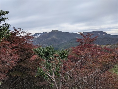 黒岩山20211024No95_R