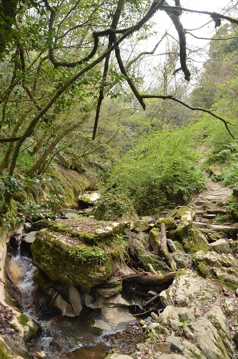 井原山20190414好き風景1