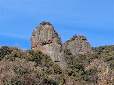 山鹿探訪 : 勝手に花言葉 徒然なるままに