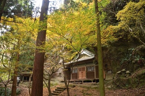 旧千燈寺 紅葉 その９ 勝手に花言葉 徒然なるままに