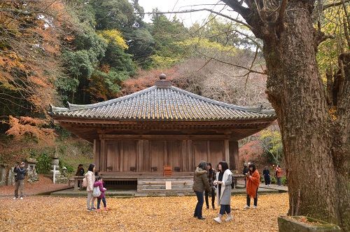 富貴寺 紅葉その12 勝手に花言葉 徒然なるままに 富貴寺 紅葉その12 勝手に花言葉 徒然なるままに