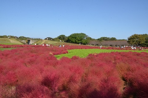 海の中道20201018No51