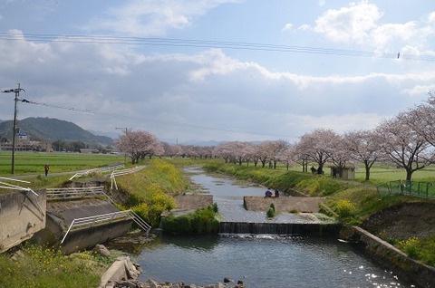 草場川堤防破壊