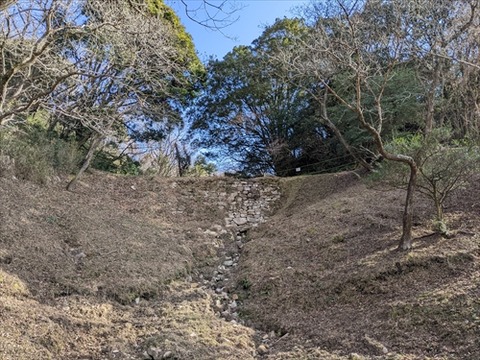 四王寺山20220115No6_R