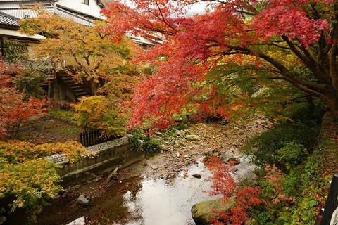 間に合った 秋月紅葉 勝手に花言葉 徒然なるままに 間に合った 秋月紅葉 勝手に花言葉 徒然なるままに