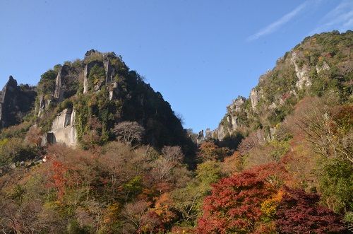 勝手に花言葉 徒然なるままに 18年11月19日