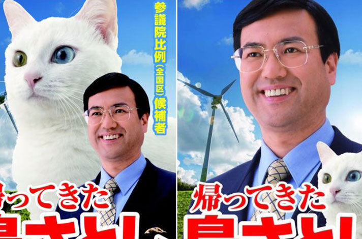 海外 ニャンだこれ 猫の選挙ポスターに仰天する海外 動画翻訳 かっとびジャパン 海外の反応 海外 ニャンだこれ 猫の選挙ポスターに仰天する海外 動画翻訳 かっとびジャパン 海外の反応