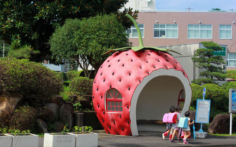 strawberry-BUSSTOP0916