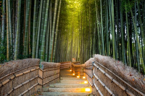 arashiyama-bamboo-grove