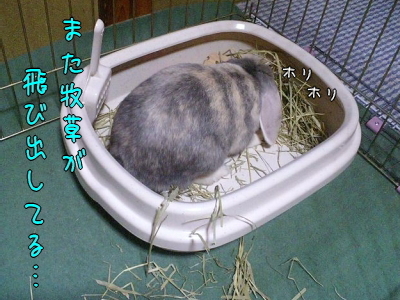 0420