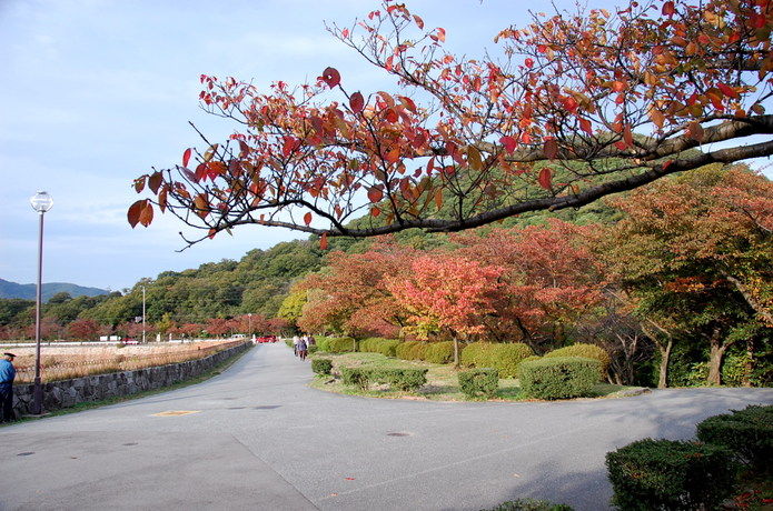 Dsc_1149 Dsc_1149