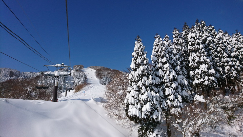 DSC_4381_サイズ変更