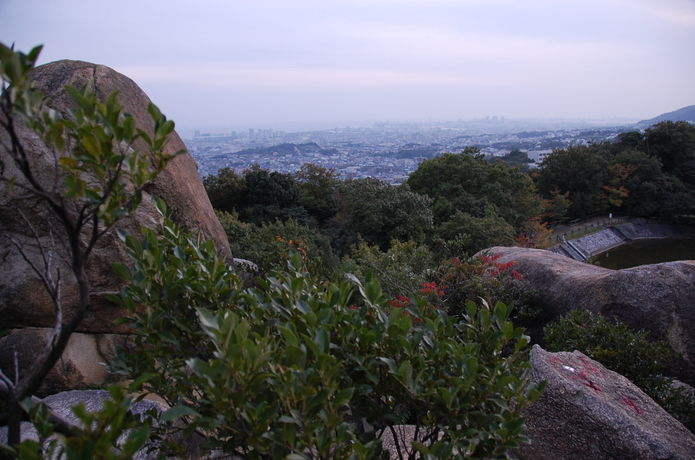 Dsc_1194 Dsc_1194
