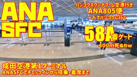 ANA¥Á¥§¥Ã¥¯¥¤¥ó