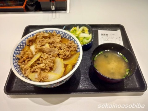 羽田空港の吉野家