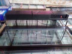 バンコク・チャトチャック市場水槽事情