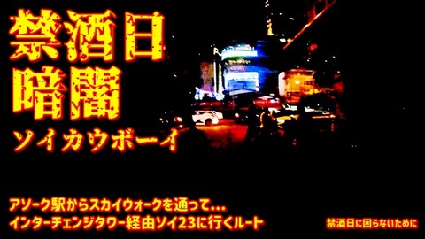 禁酒日のソイカウボーイ