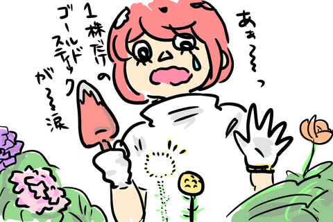 花ドロボー!!!涙
