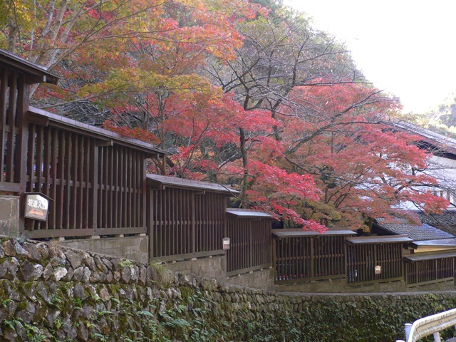 佐渡金山の紅葉 身近な癒し