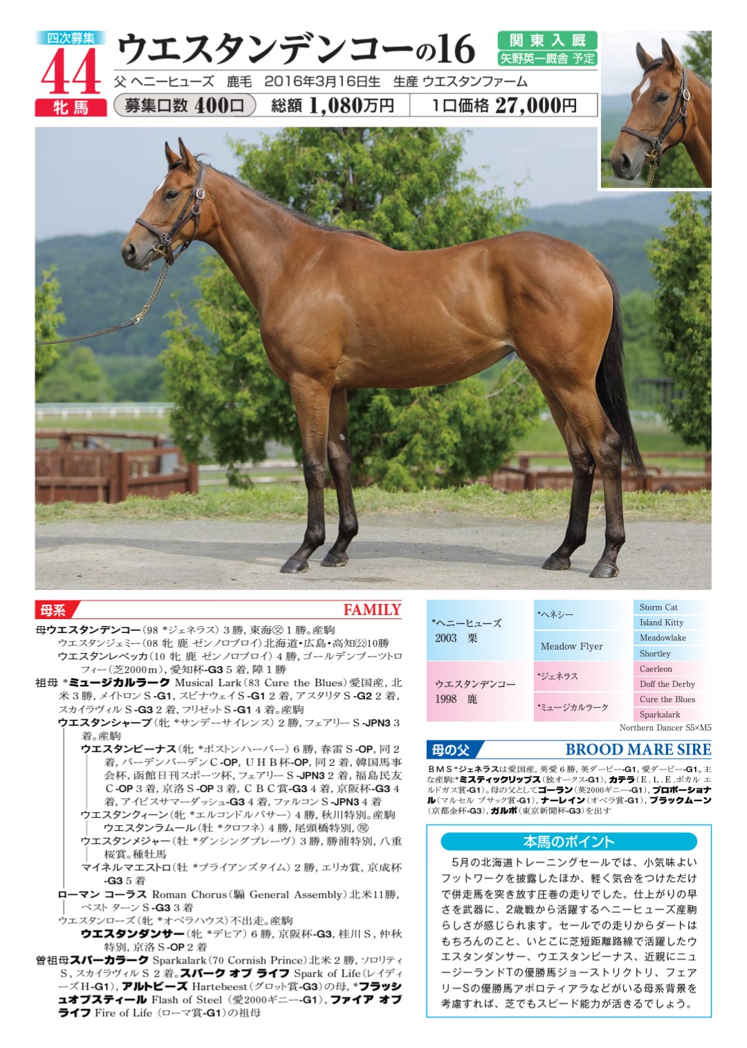 ノルマンディーocの4次募集馬 課長の一口馬主ブログ ノルマンディーocの4次募集馬 課長の一口馬主ブログ