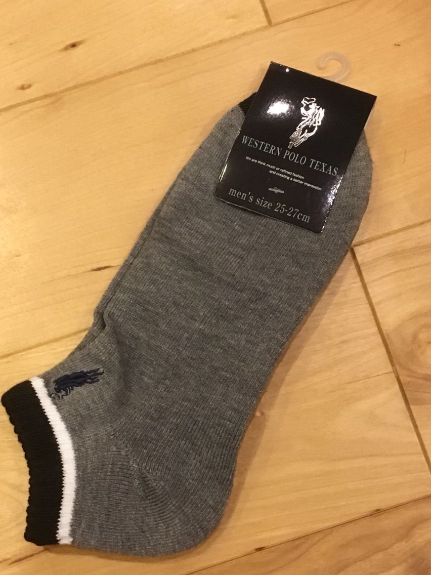 偽ポロ調査隊としては見逃せない逸品 日々是妄想 偽ポロ調査隊としては見逃せない逸品 日々是妄想