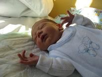 sohn