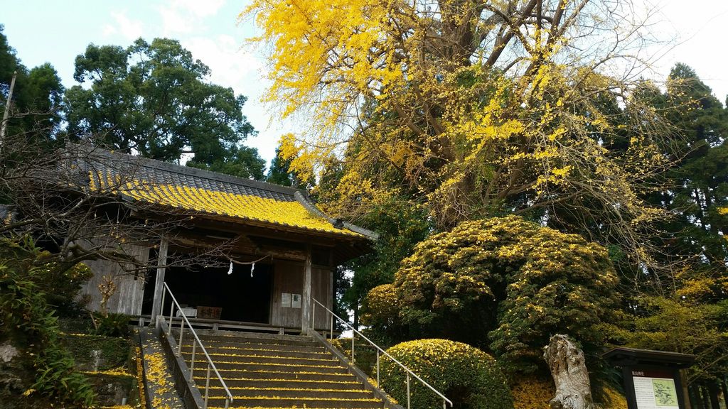 鹿児島おでかけブログ