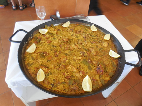 DSCN0528
