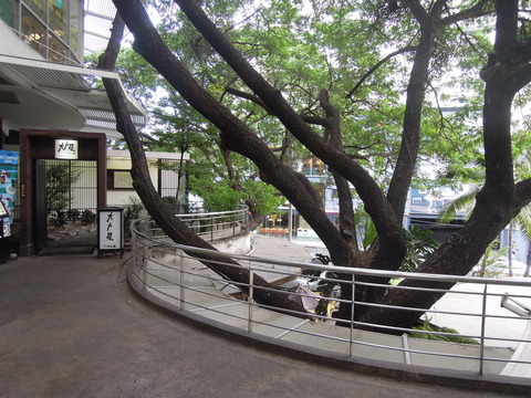 DSCN8706