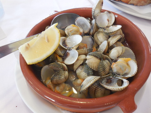 DSCN0522