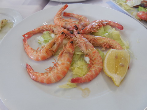 DSCN0523