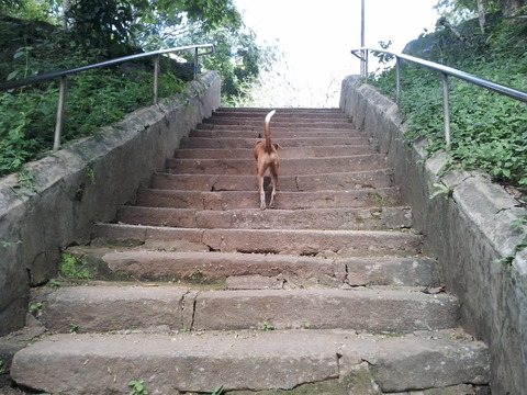 Photo0411