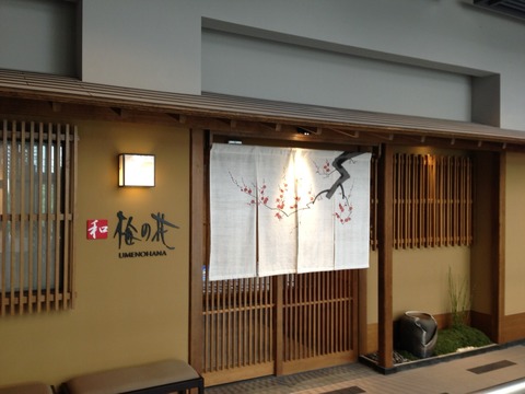 梅の花