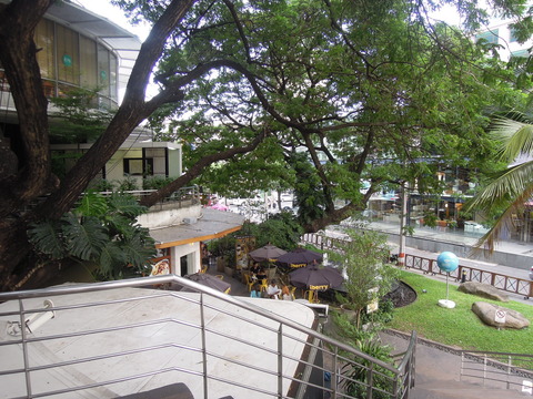 DSCN8709