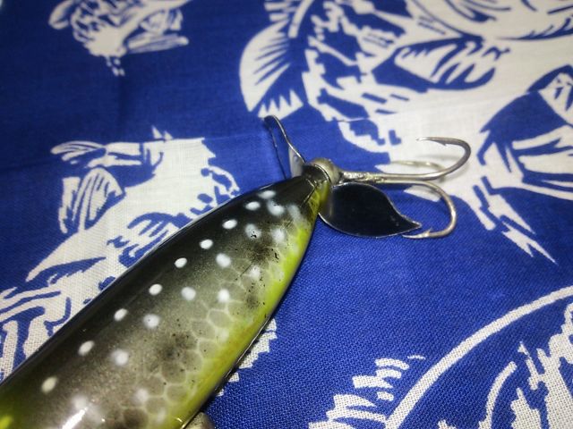 イメージ 6