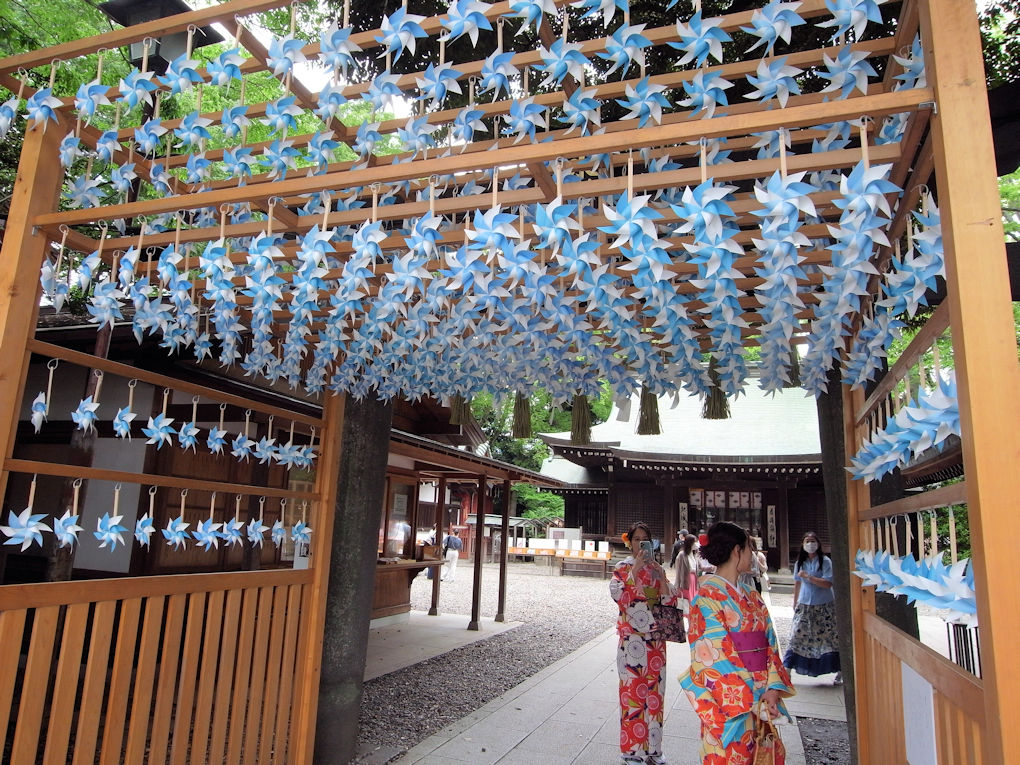 風に舞う 川越氷川神社のかざぐるま 縁むすび風鈴 は今のところ実施予定 Hot News 川越情報局 写真で見る Coedo Kawagoe