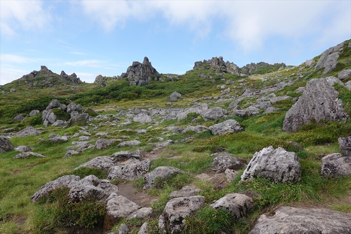 DSC04505_R