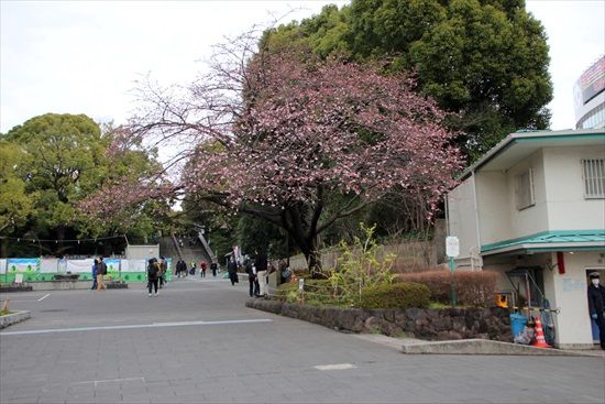 イメージ 2