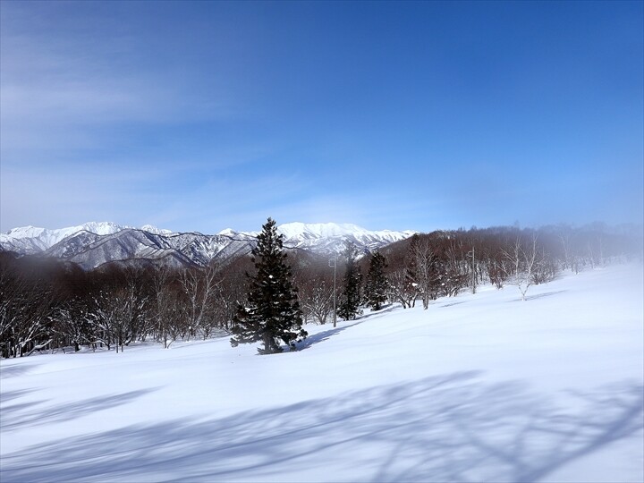 2DSC04279_R