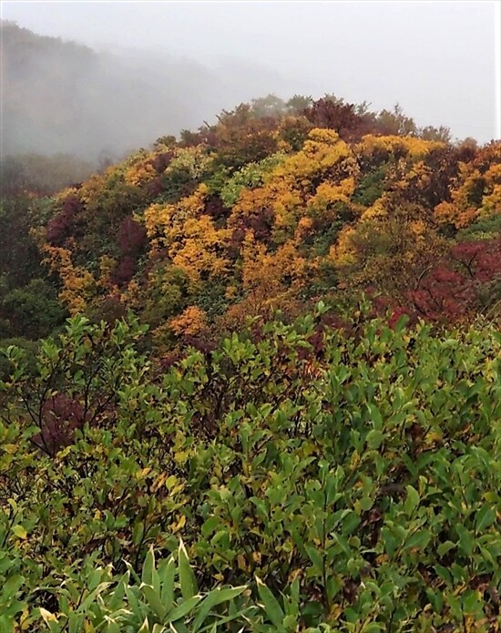 09-2MOV_8108_Moment (2)_R