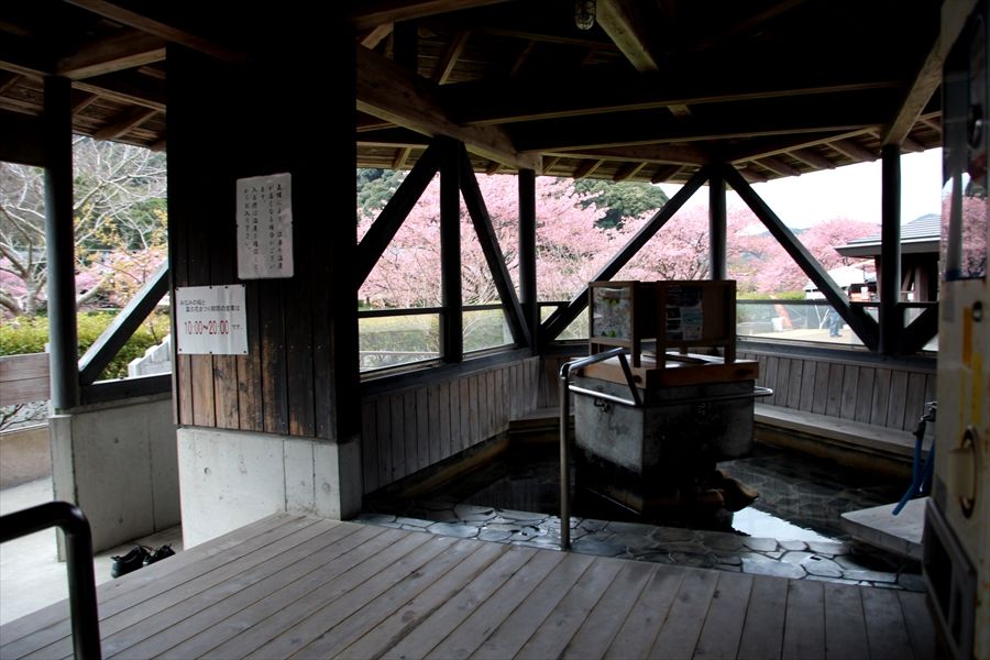 イメージ 18