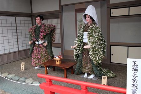 イメージ 5