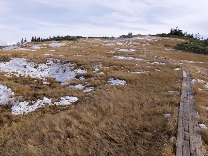 03DSC09025_R