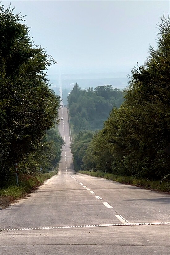 50DSC_5832_R